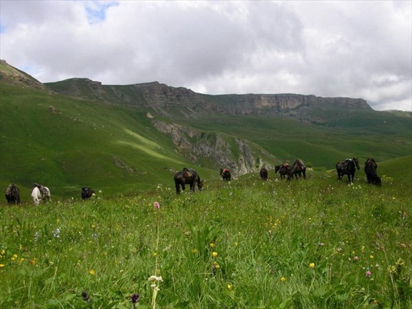 Конные походы в горах кавказа_06